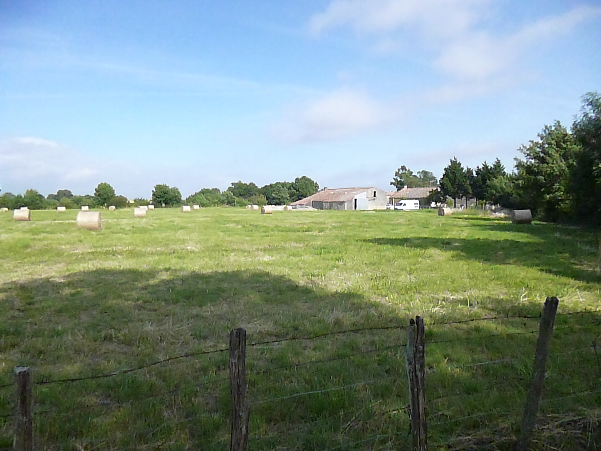 Les oiseaux de passage