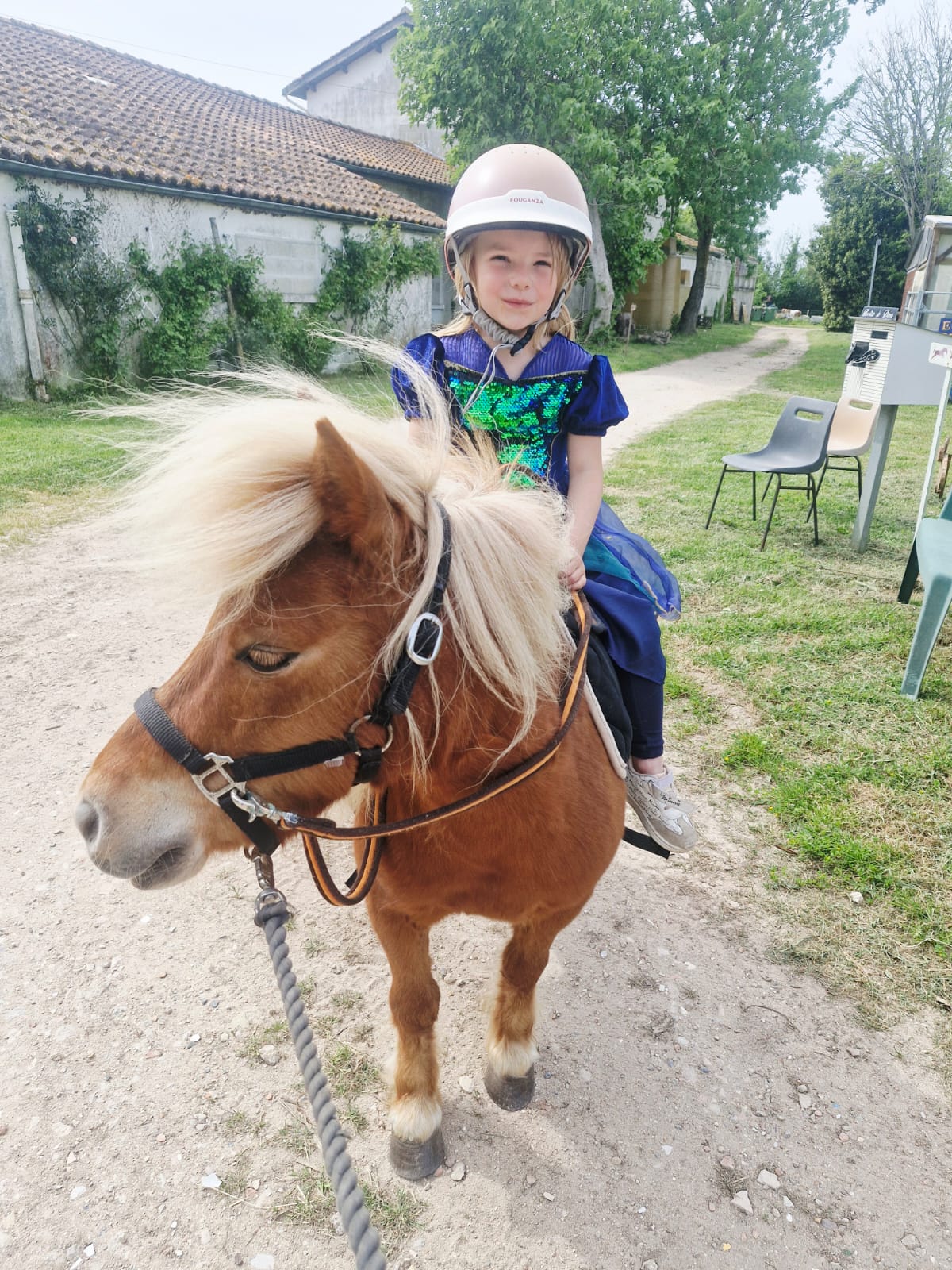 Baptêmes poneys à l'Apac (Association de Protection des ânes et des chevaux)