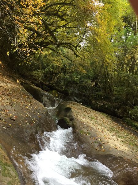 Circuit de randonnée pédestre : La vie du Loup
