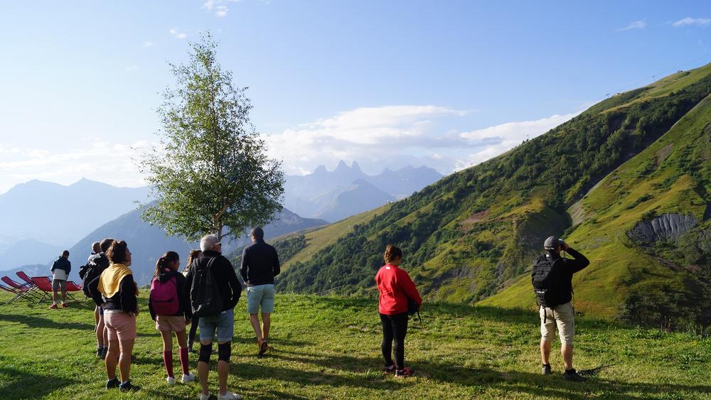 Sortie chamois avec Bureau Montagne
