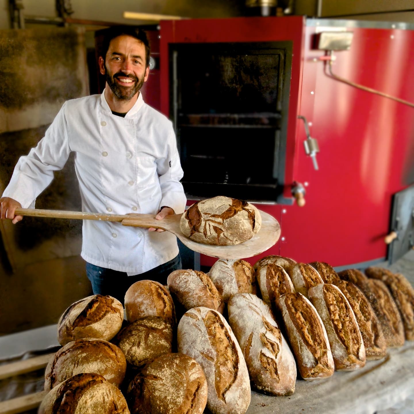 Thierry Seren, Paysan Boulanger et vigneron — photo 3