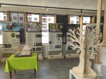 Exposition : un héritage de 900 ans de gestion forestière_Saint-Pierre-de-Chart…