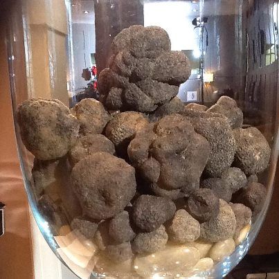 De la truffière à l'assiette en compagnie d'un Chef authentique