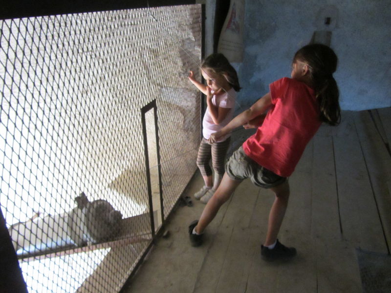 Promenade savoyarde de découverte à l'Esseillon