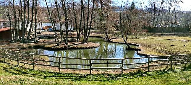 L'étang au sein du camping