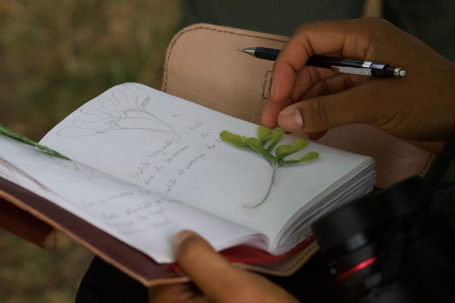 Inventaire naturaliste - Initiation aux sciences participatives 