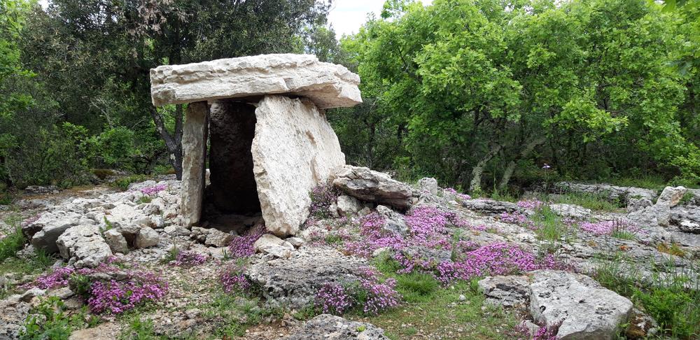 Dolmen Beaulieu - Les Divols