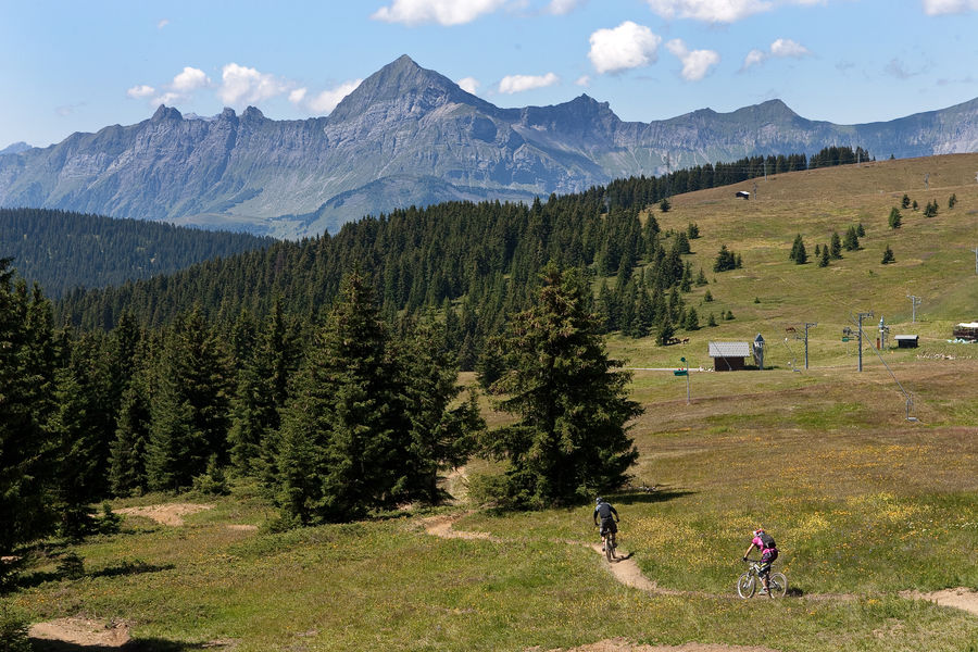 dh-vtt-les-saisies-la-coyote