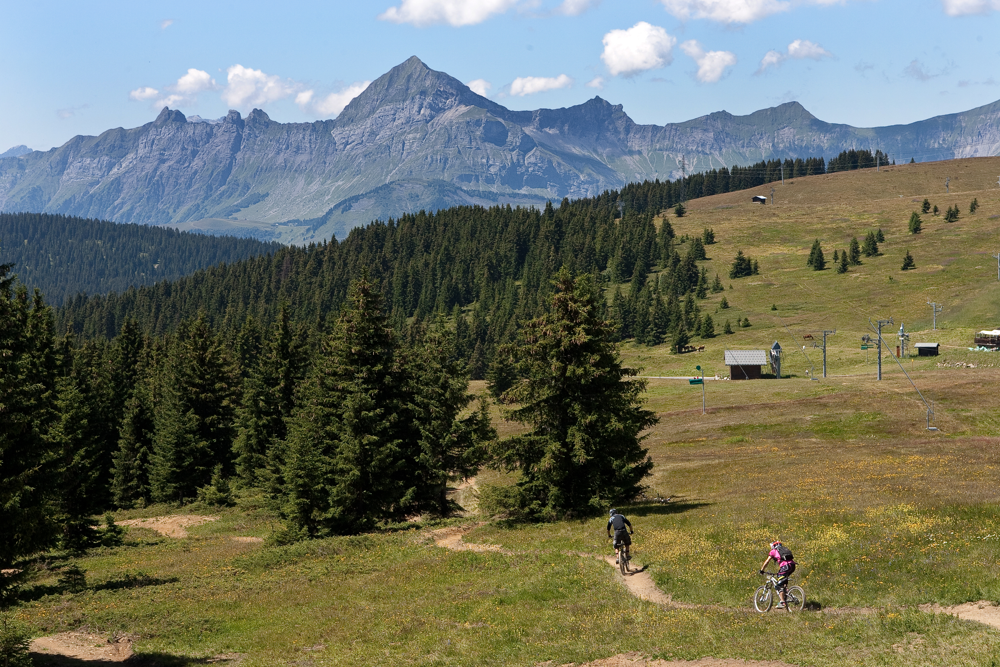 DH VTT - La Coyote