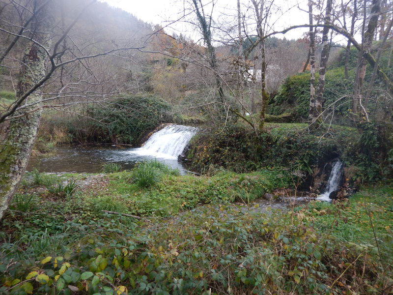 Parcours pêche - La vallée du Gijou secteur de Vabre