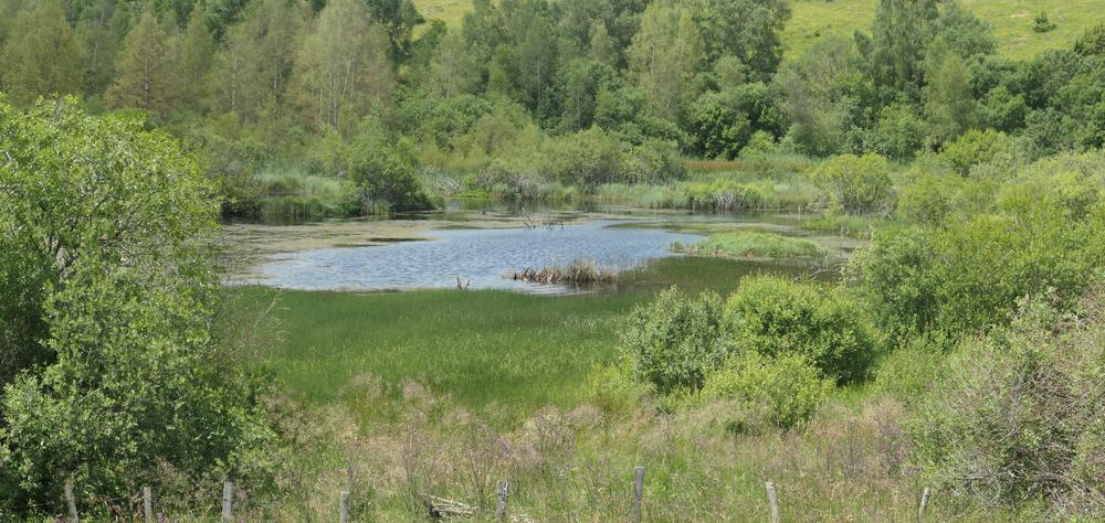 Sortie Découverte Voyage au Pays des Tourbieres