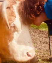 Merveille_Vendranges