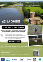Balade nature en Dombes