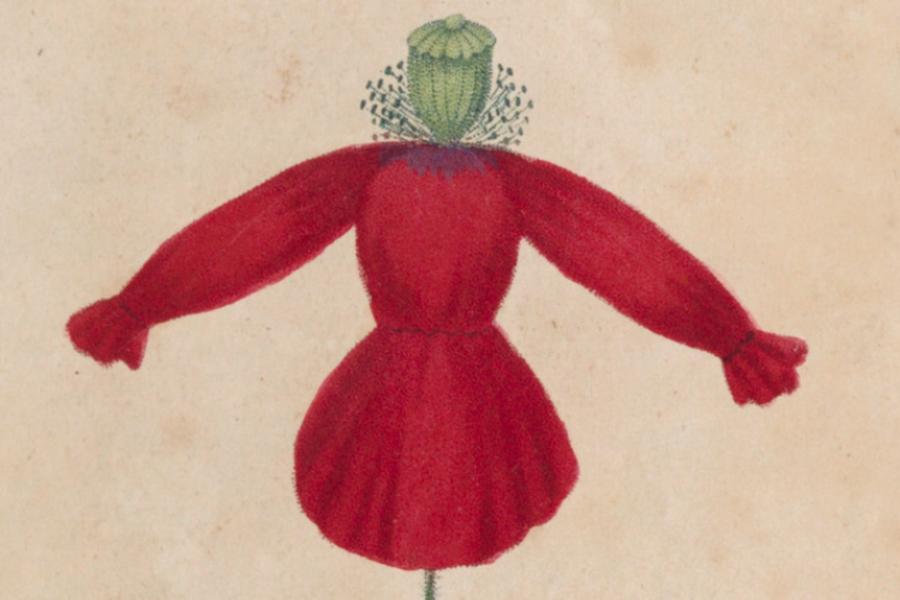 Ce que nous raconte le nom des plantes_Le Monêtier-les-Bains