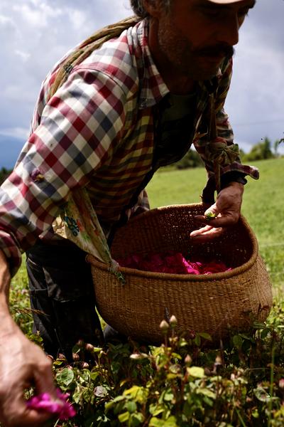 Rendez-vous de l'été : Atelier Cocktail aux eaux florales._Théus - © Sens de Théus