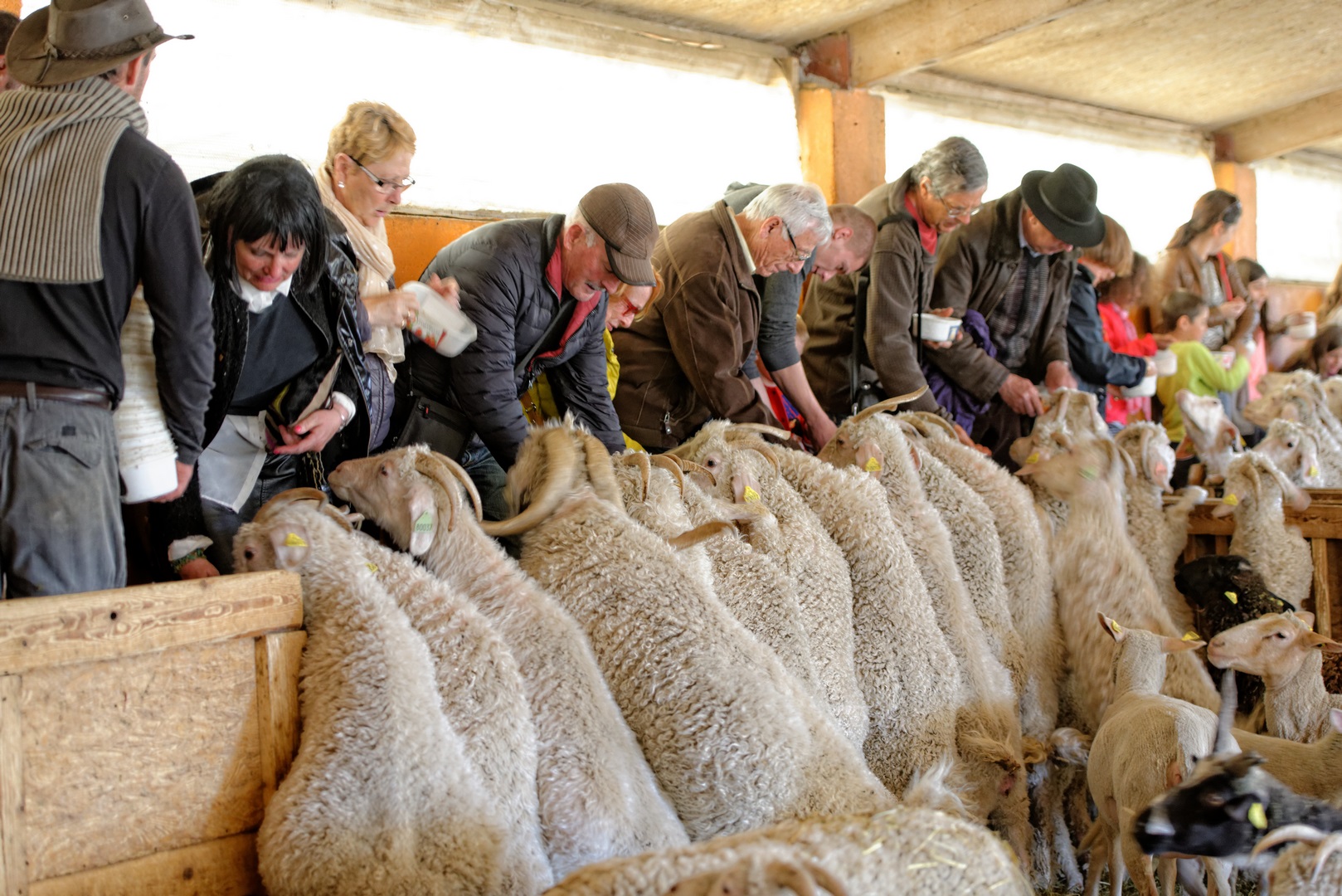 La Ferme du Col JARJAYES