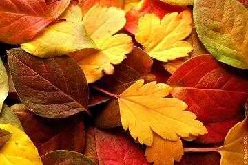 Qui s'y frotte s'y pique_Villages du lac de Paladru