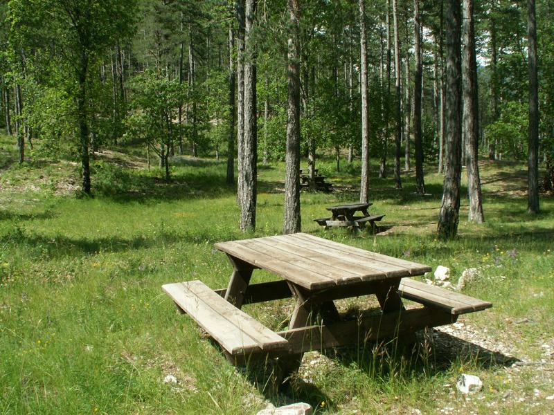 Picnic area at the Verdre spring