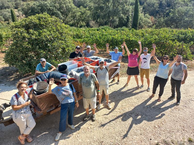 Journée découverte des vendanges