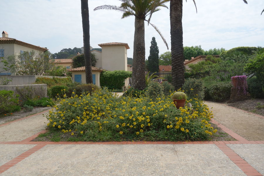 Jardin Emmanuel Lopez Porquerolles