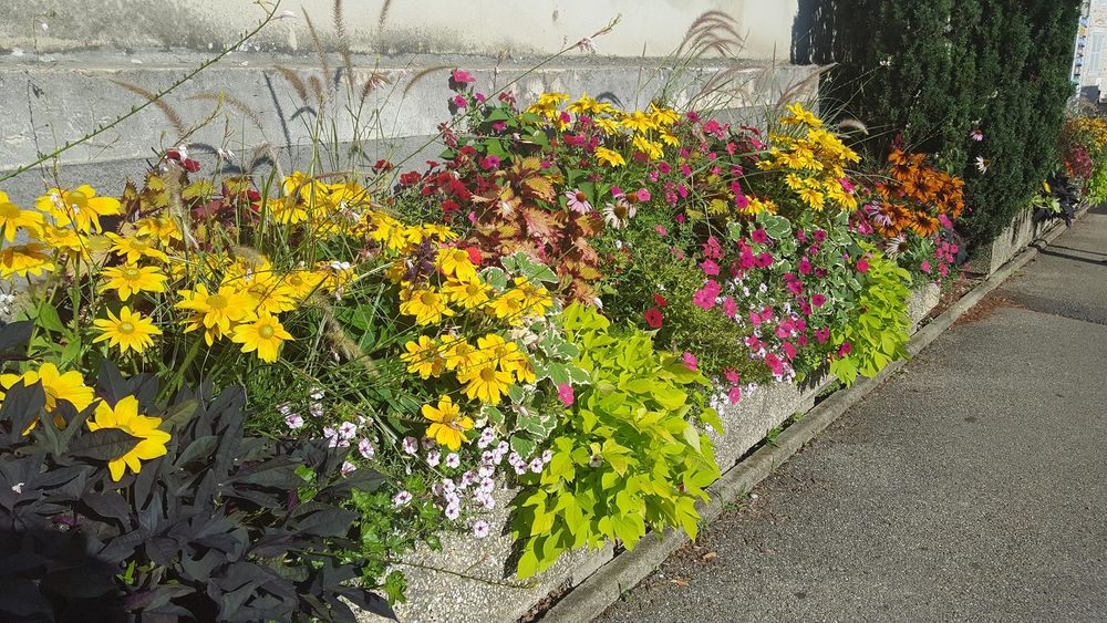 Village fleuri sur la Route fleurie du Revermont