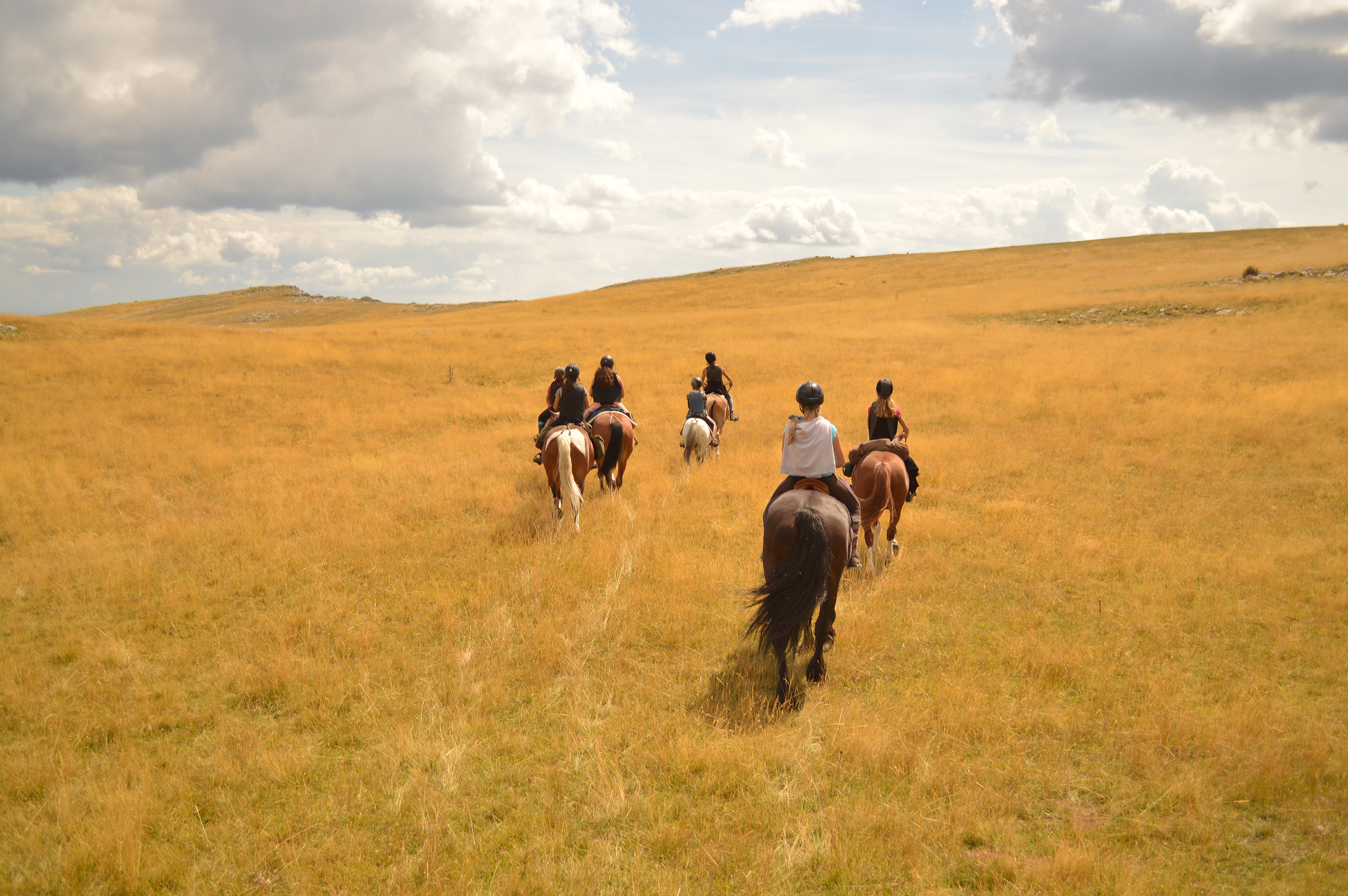 Randonnée à cheval