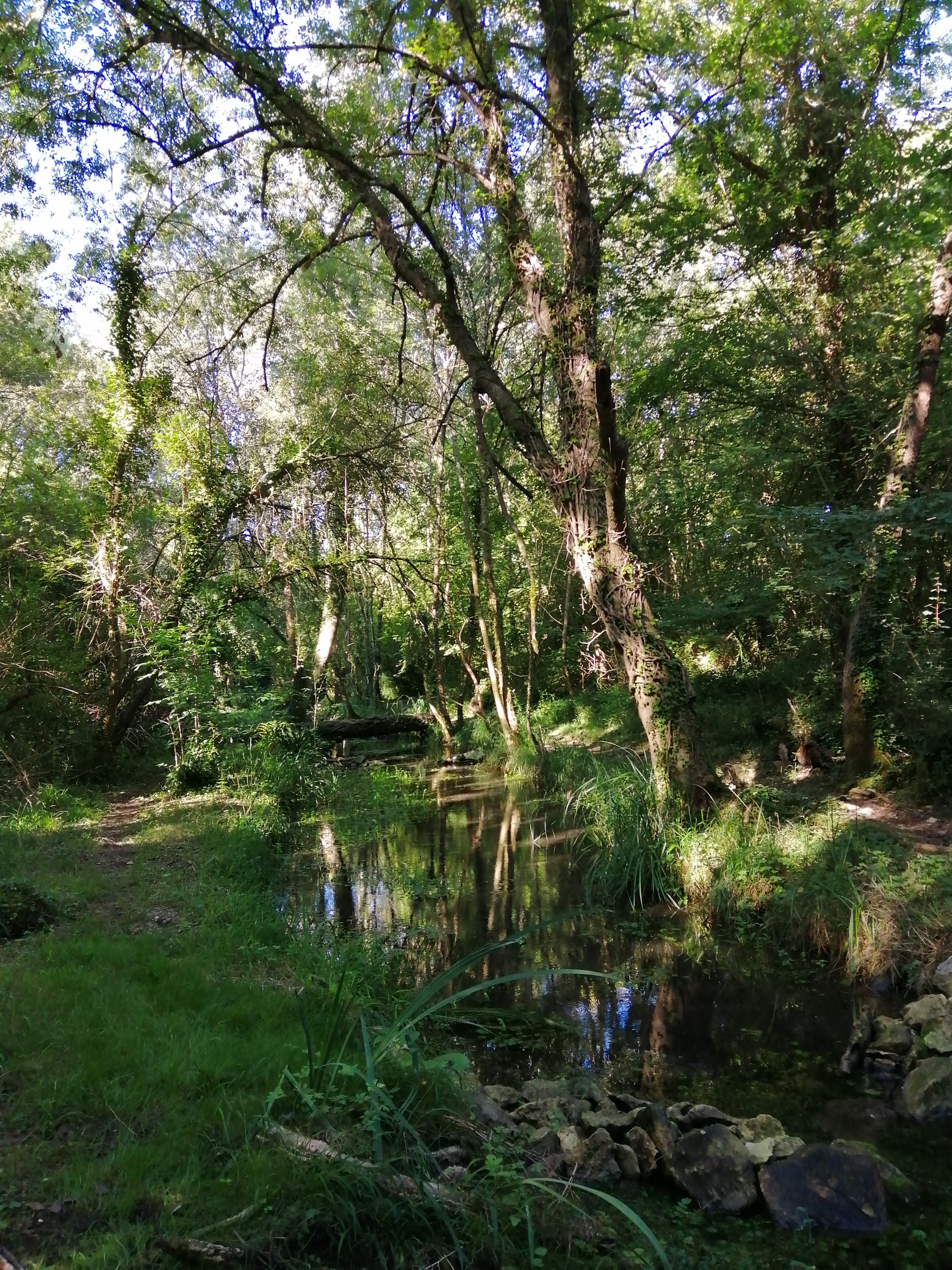 Affluents Vallée de la Charente