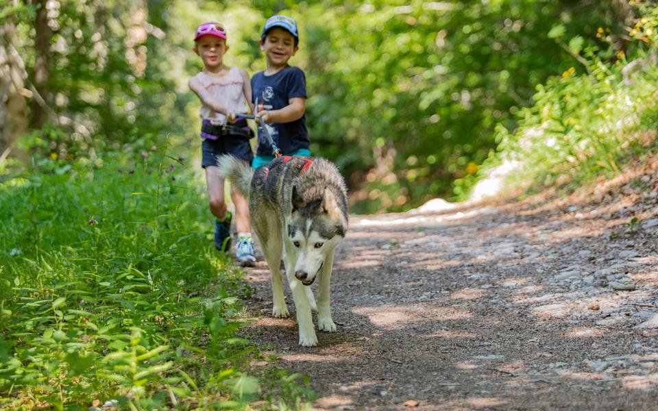 Les Granges de Heïdi_Magland
