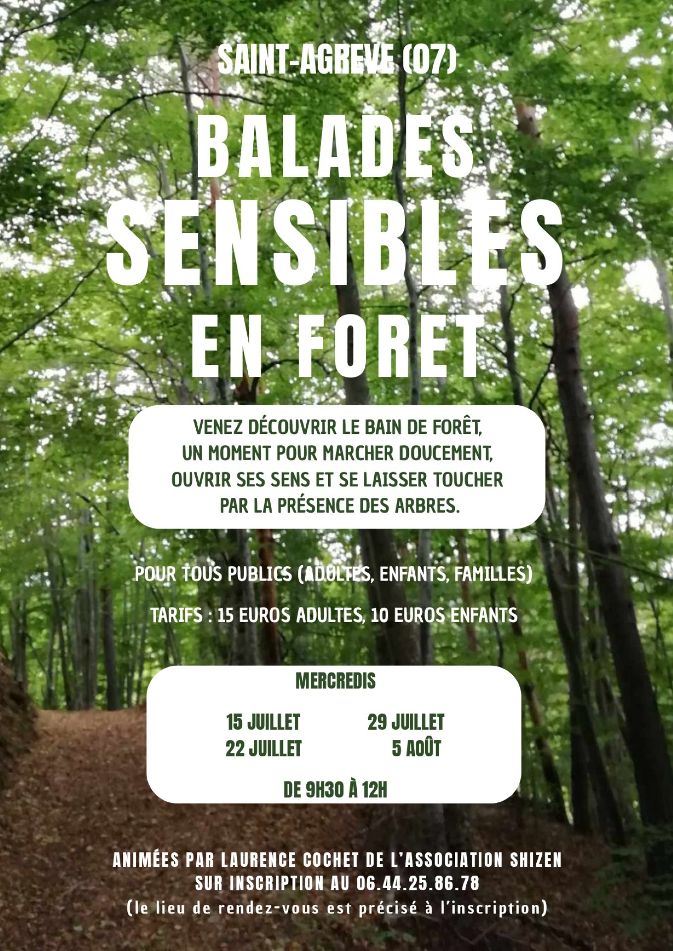 Balade sensible en forêt