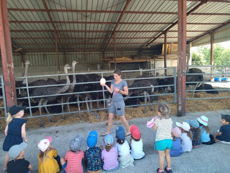 Visite de la ferme pédagogique du Père Louis pour les scolaires - Morestel - Balcons du Dauphiné