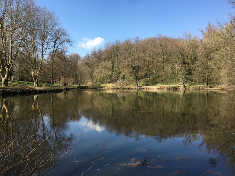 Etang du Boulard - Chaponost