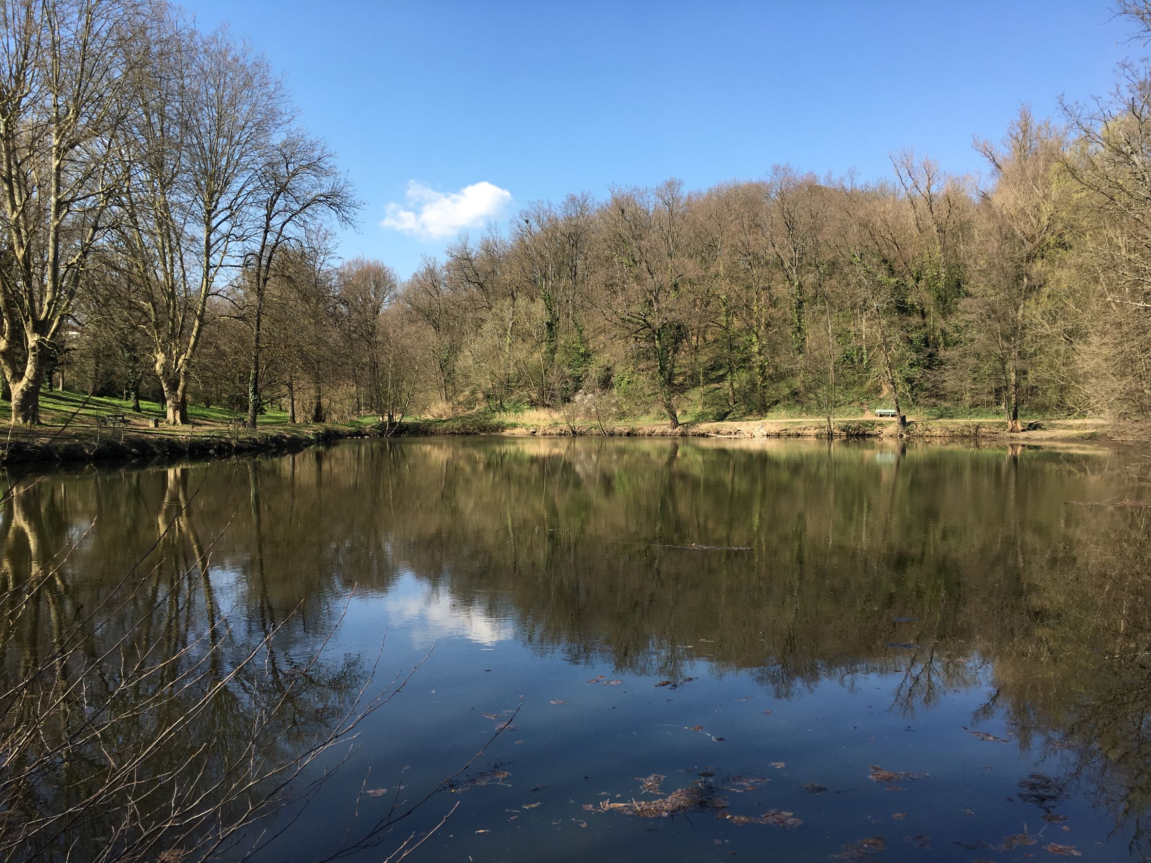 Etang du Boulard - Chaponost