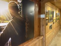 La Maison du patrimoine: exposition 