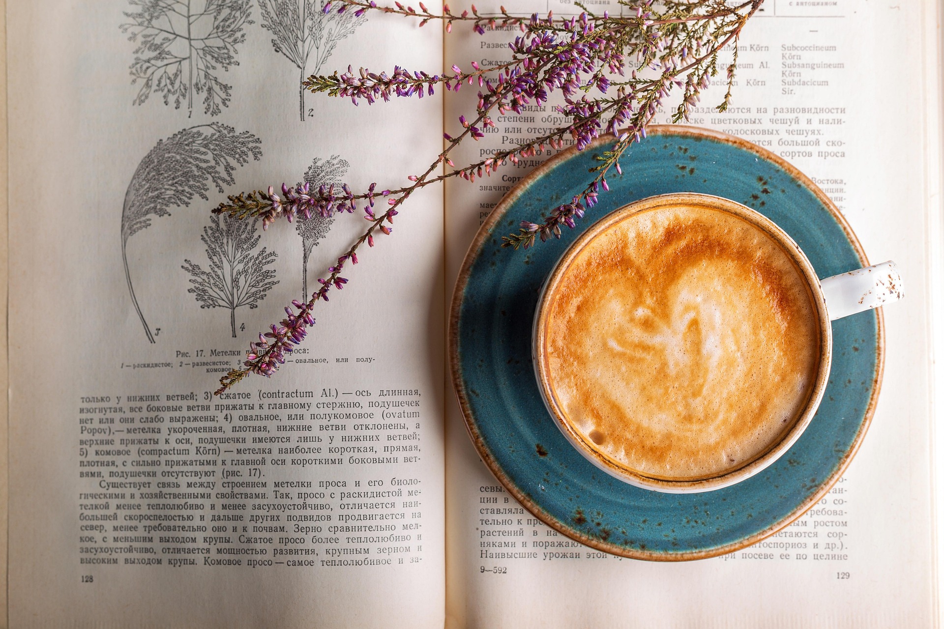 Café Littéraire à la P'tite Bulle