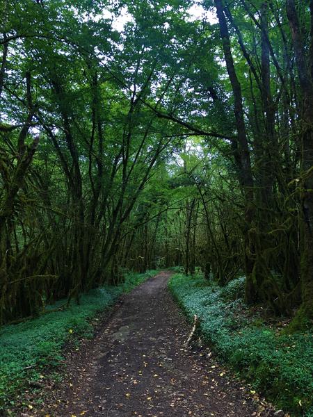 Circuit VTT 6 Les Enfants du Marais