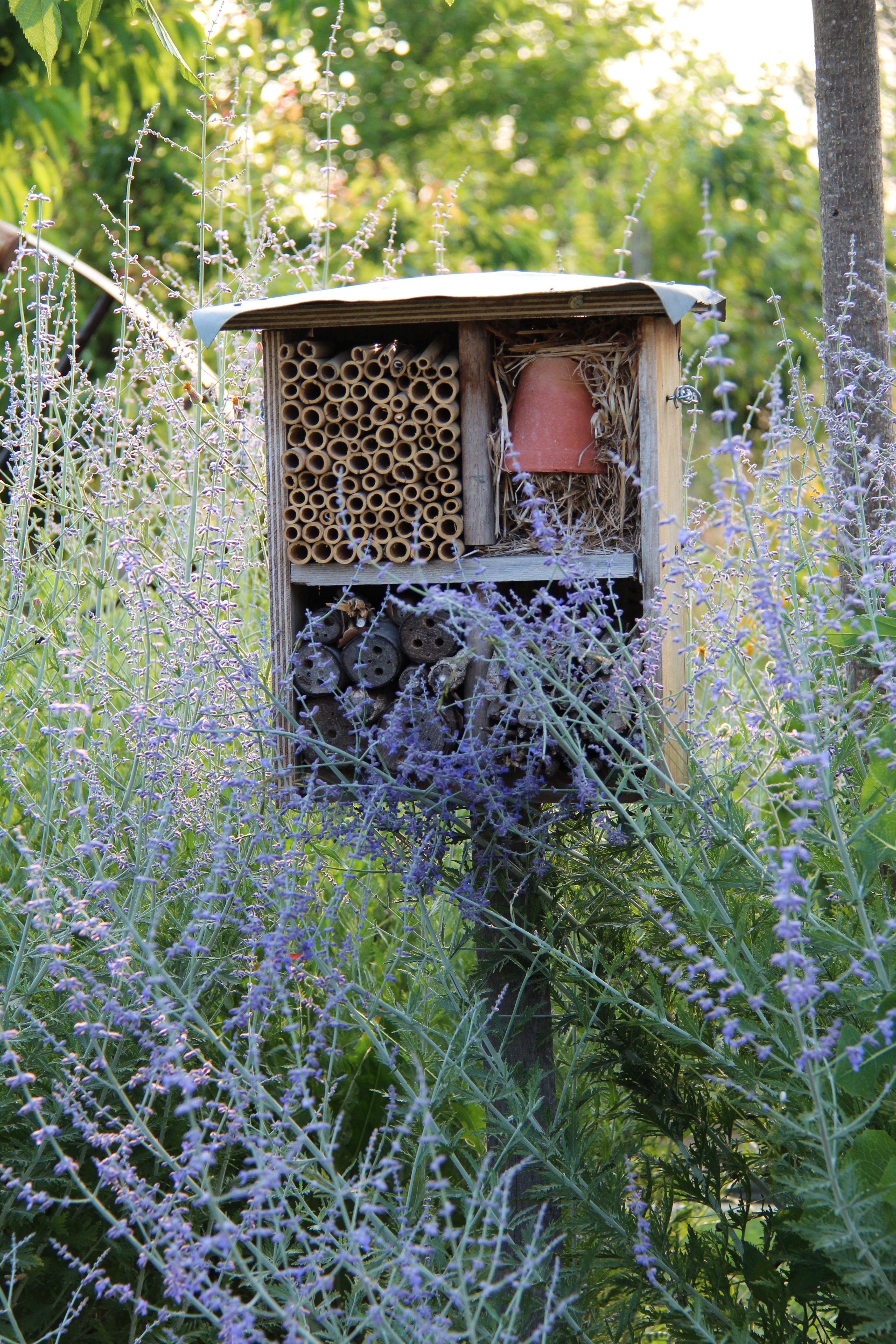 Croq'jardin, La Roque-d'Anthéron - photo 4