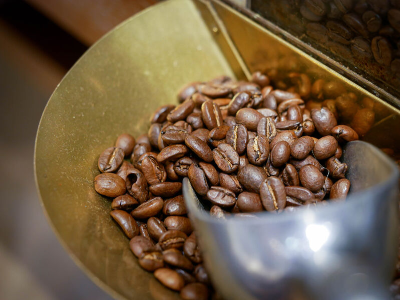 Dromel Ainé Marseille