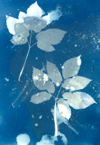 Au labo du Château : I've got the bleu !