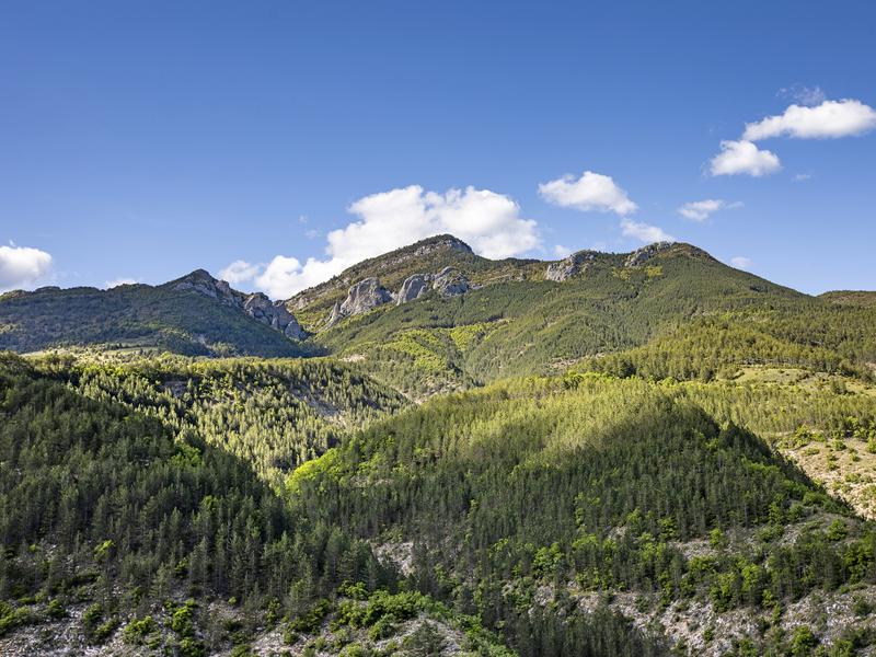 Vue des rochers d'Aucelon
