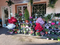 Plaisir Fleuri - Villeneuve-Loubet