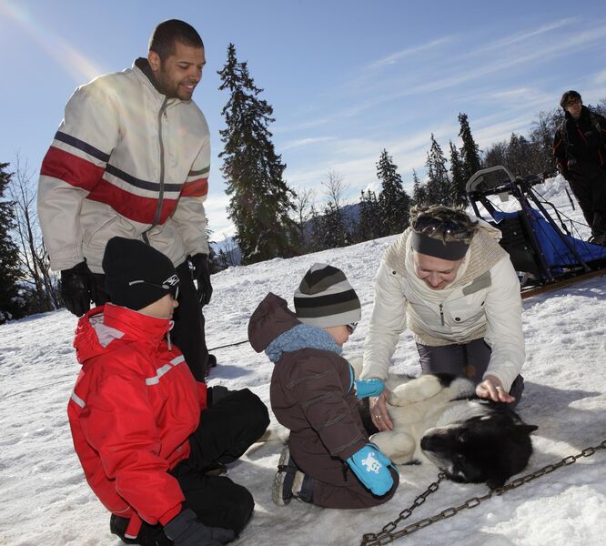 Ferme chiens de traineau