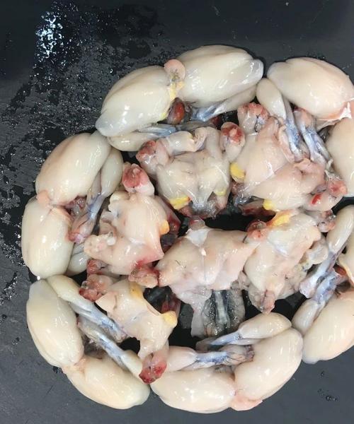 Grenouille de France