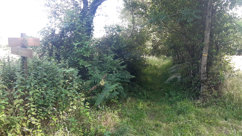 Route de Conan