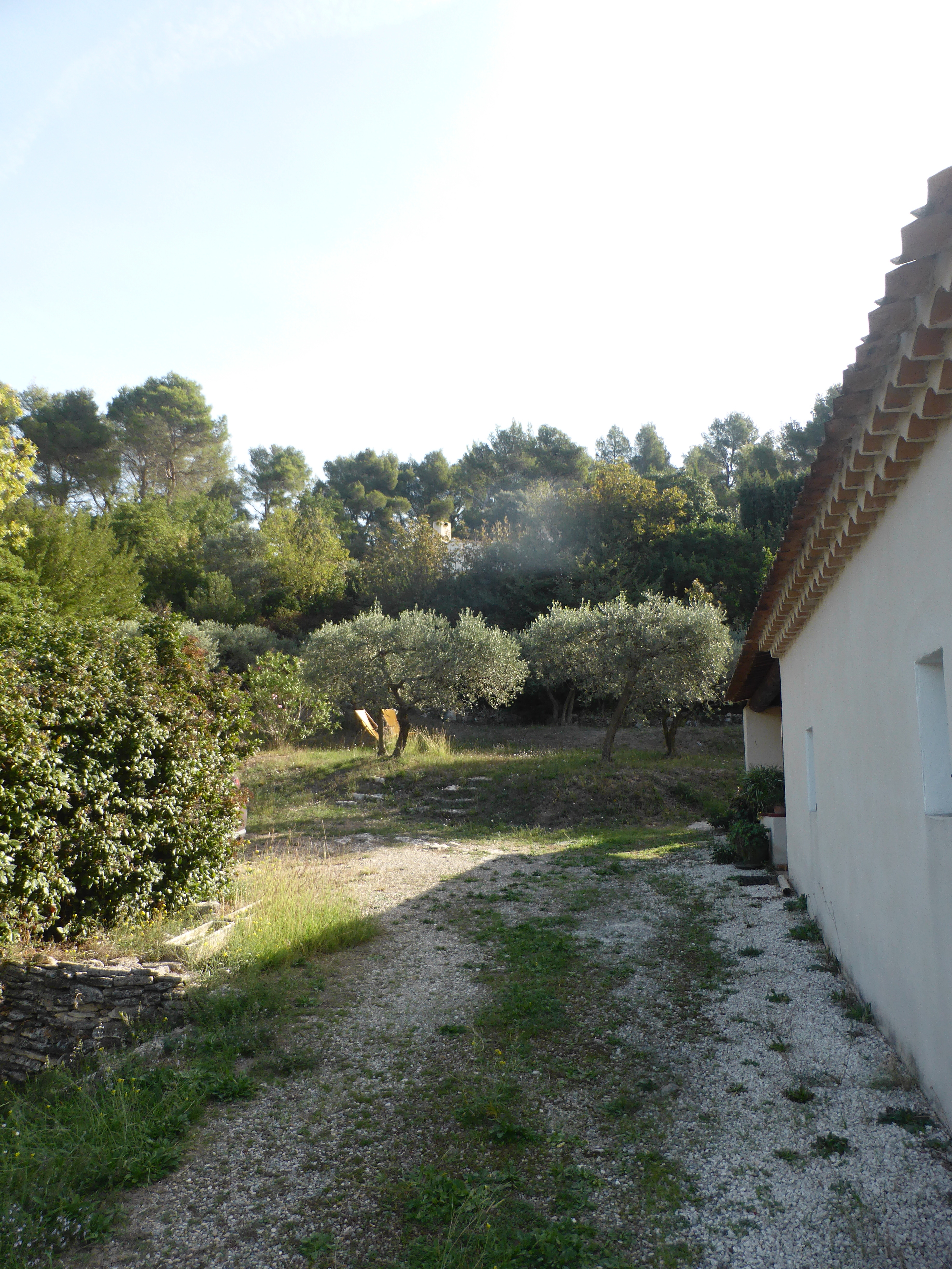 Villa Chrisma - photo 4