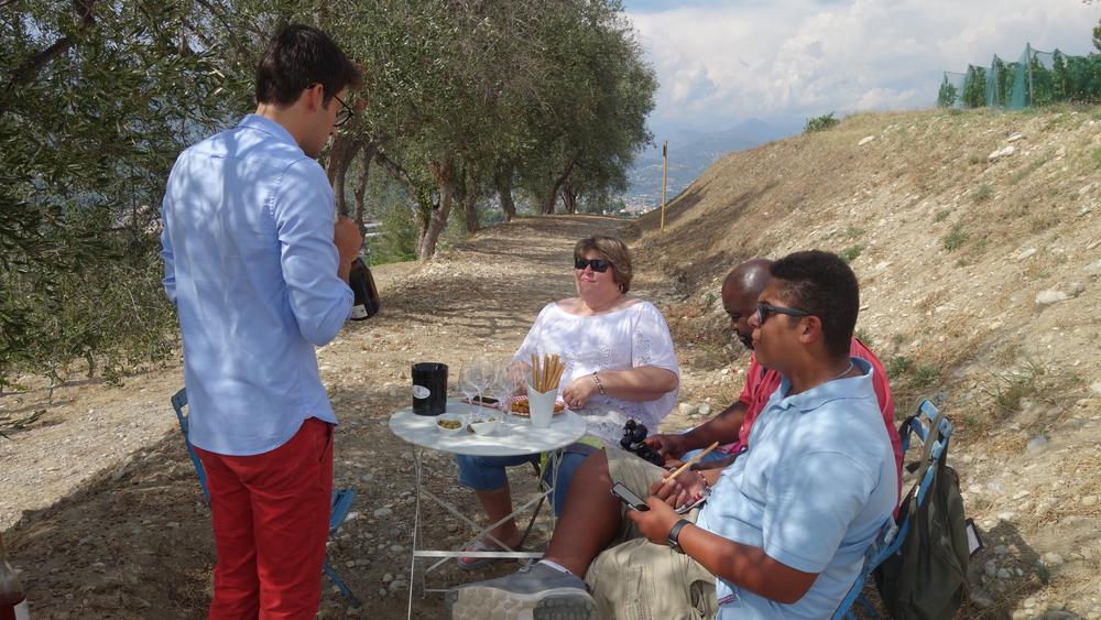 Wine tours & experiences