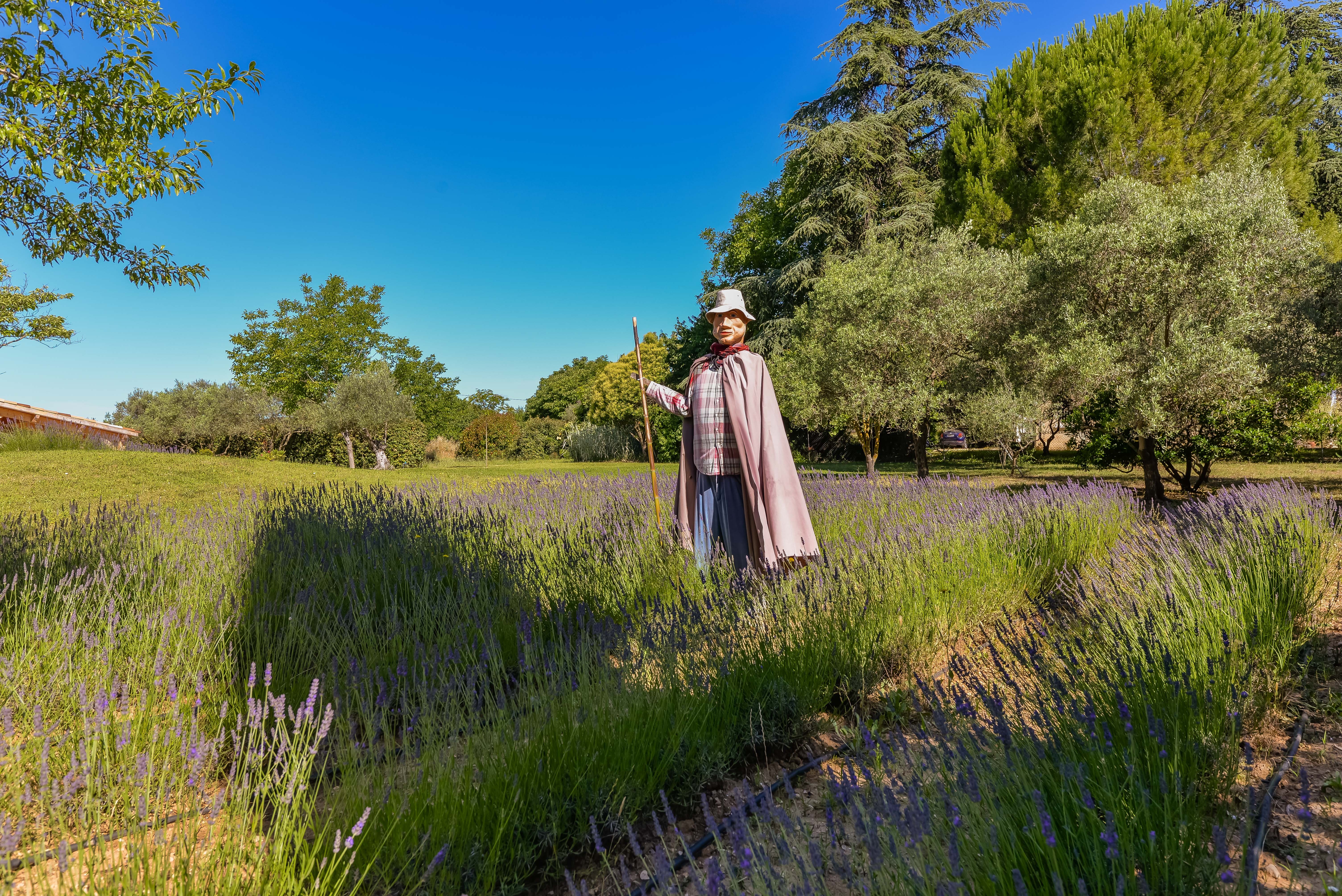 Les Nids du Luberon, Pertuis - photo 5