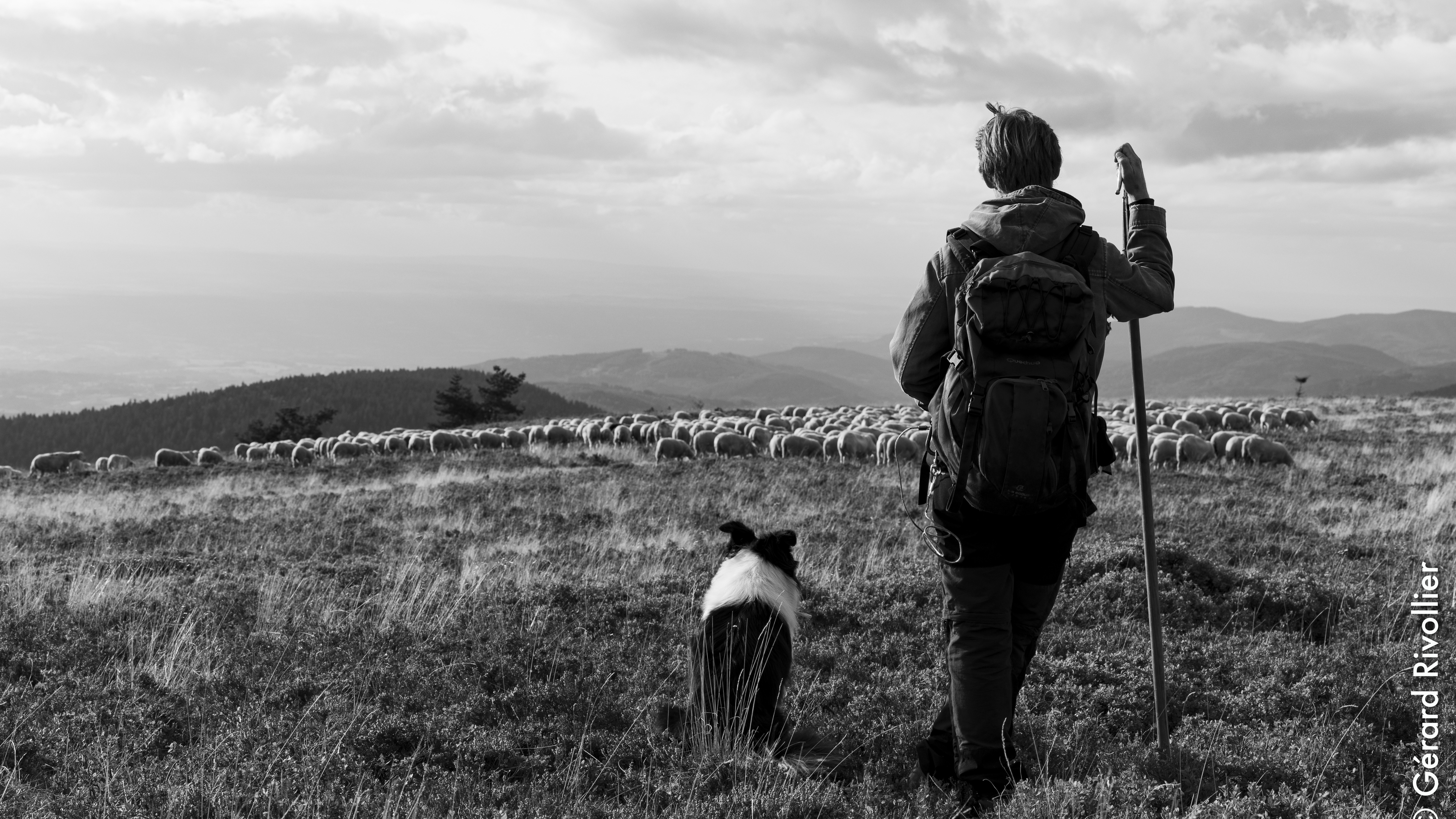Exposition – Estive : berger sur les Hautes Chaumes