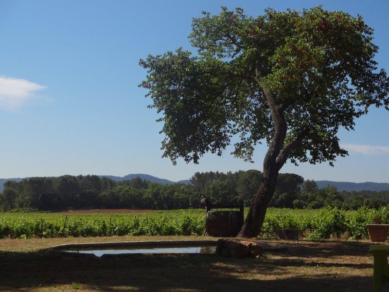 Château Nestuby - Cotignac
