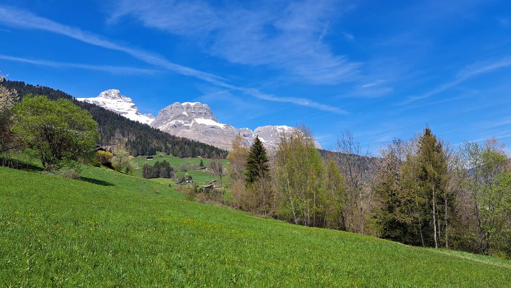 Balade aux portes des alpages - sentier pédestre_Cordon