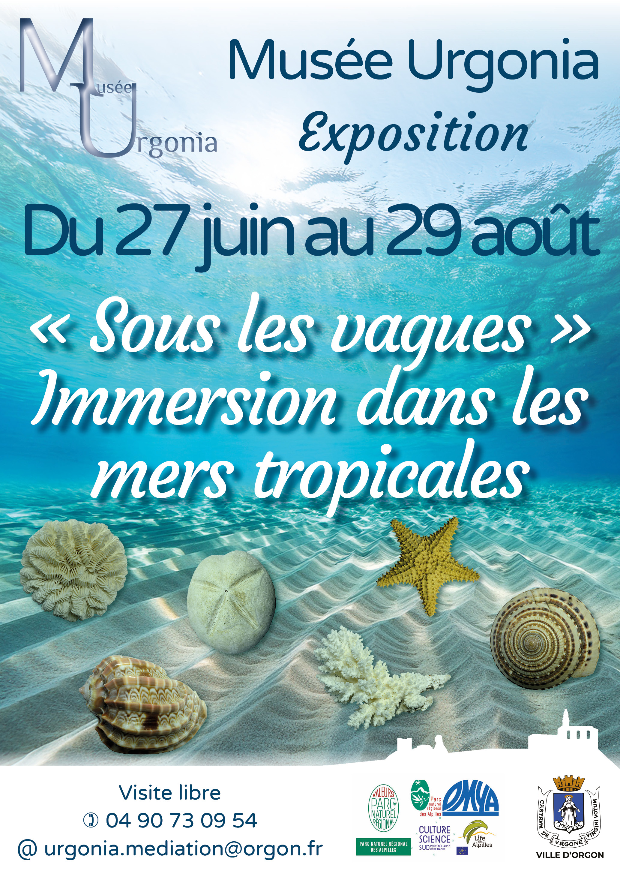Exposition « Sous les vagues » - Immersion dans les mers tropicales